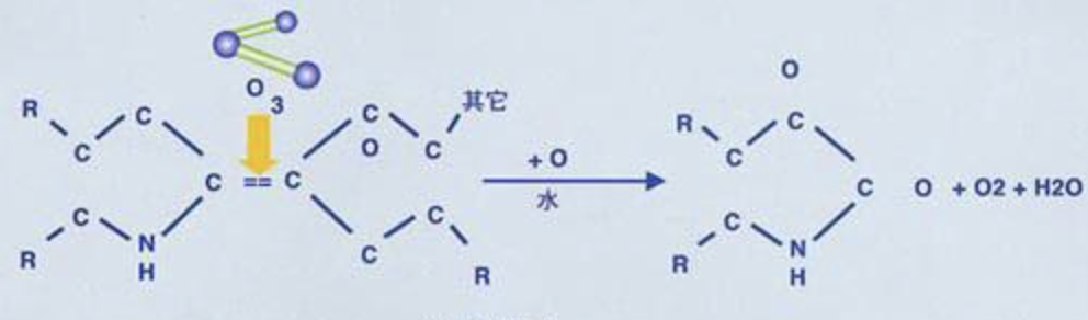 Ozone chain breaking principle