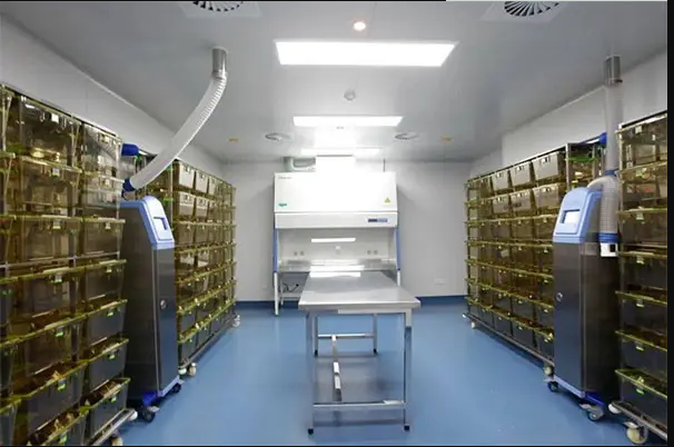 cleanroom lab7