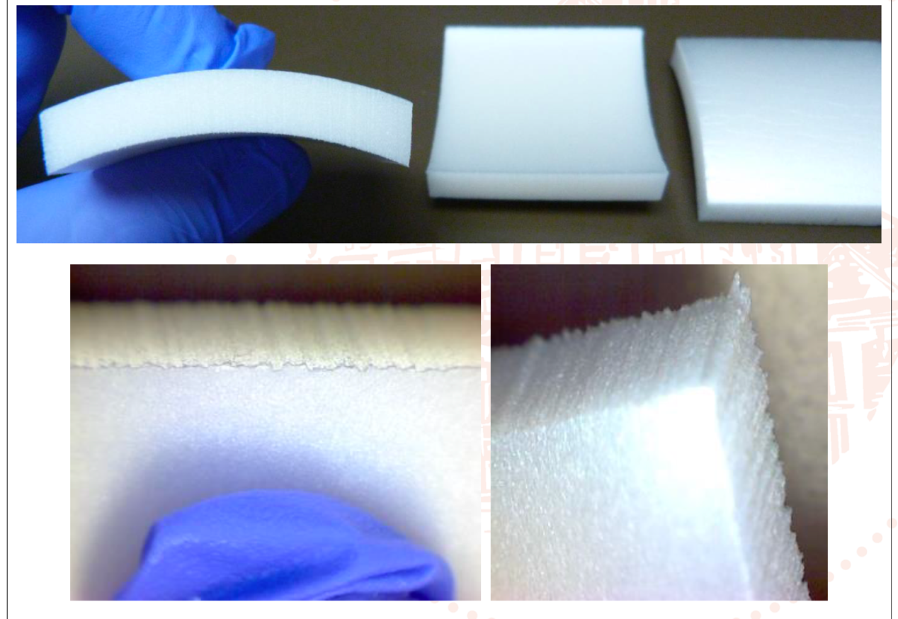 A look at fungal contamination testing of cleanroom insulation