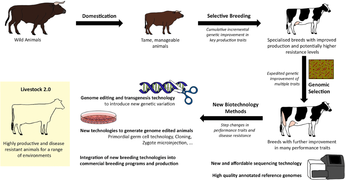 Livestock 2.0 – genome editing for fitter, healthier, and more productive  farmed animals | Genome Biology | Full Text