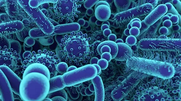 Biosafety Level Standards for CDC(Centers for Disease Control)