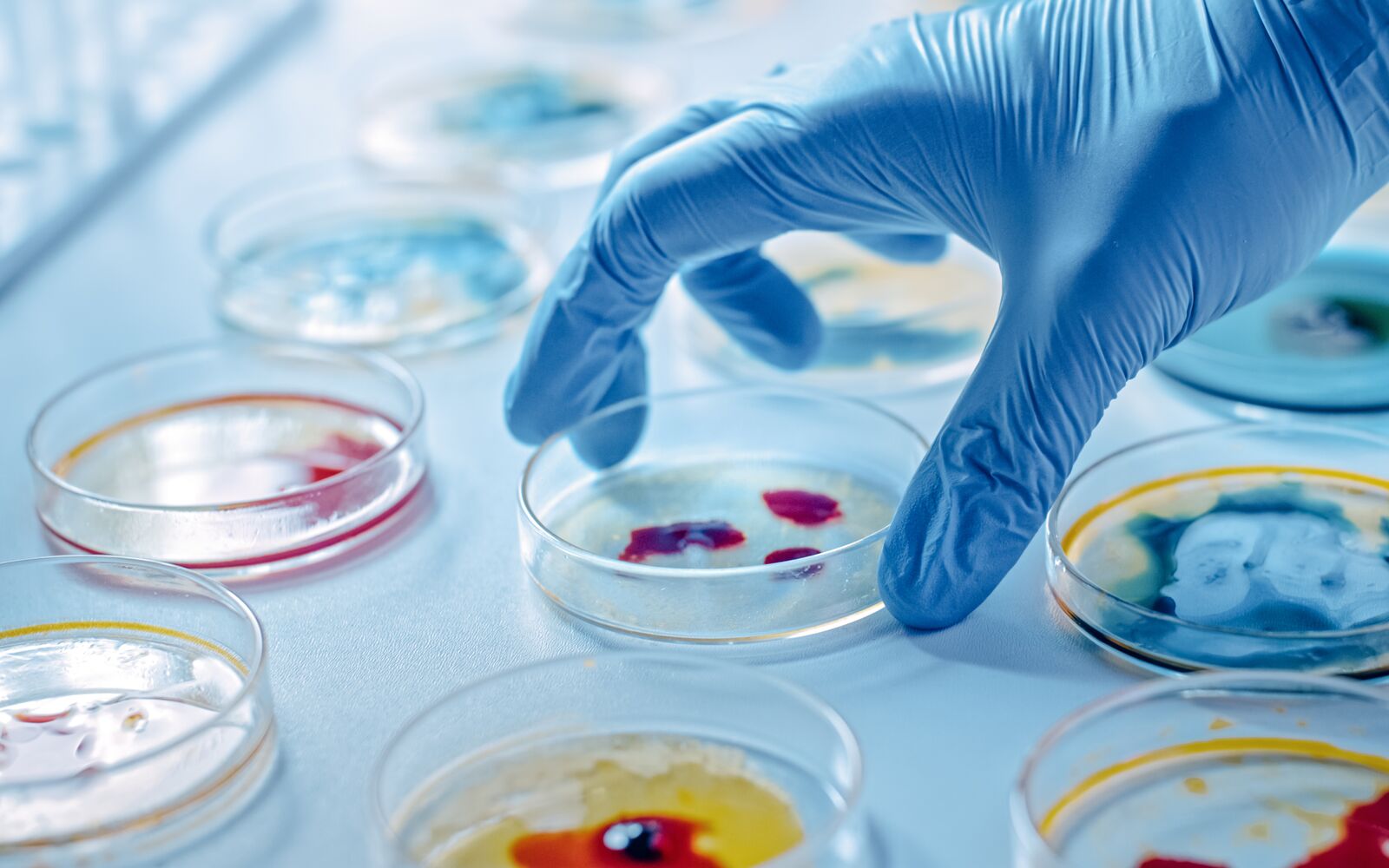 Frontiers in Microbiology