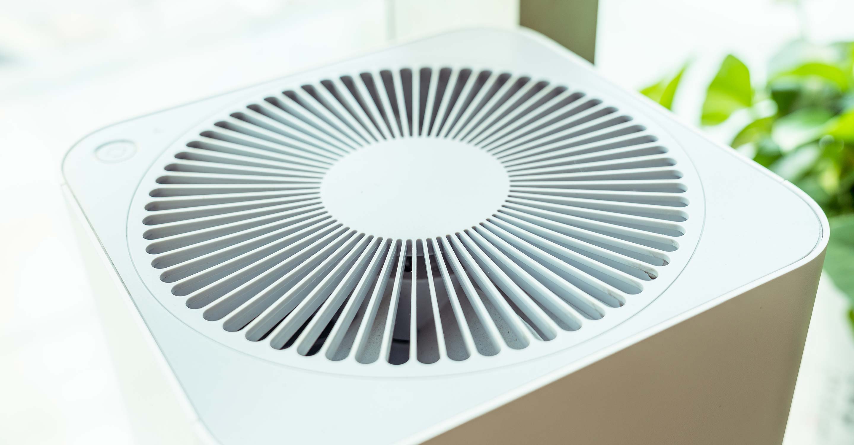 Do air purifiers work? Air purifier myths and facts debunked | IQAir