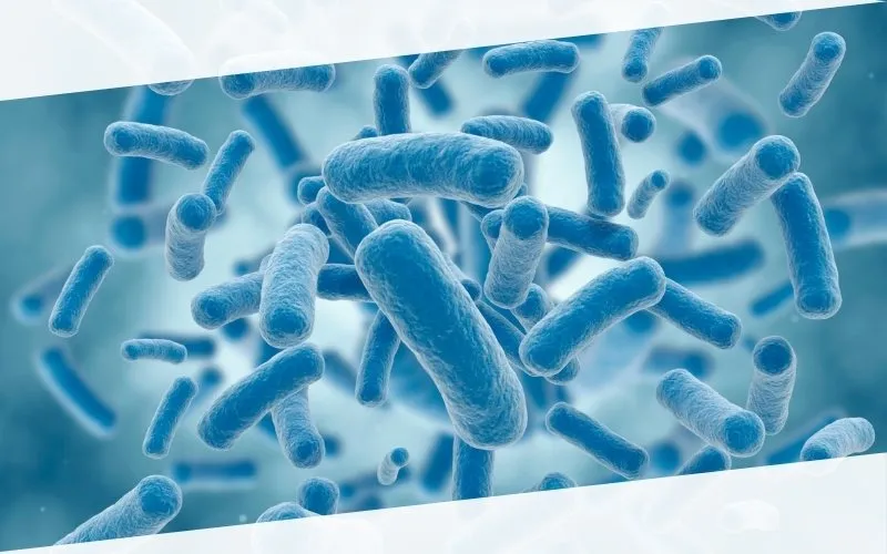 Cleanroom contamination control and commissioning context