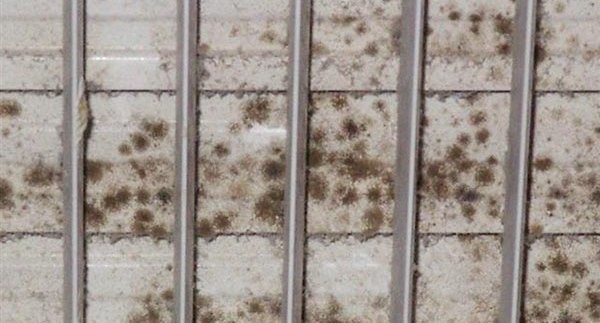 Eliminating Wet & Moldy HVAC Air-Filters in Healthcare Facilities