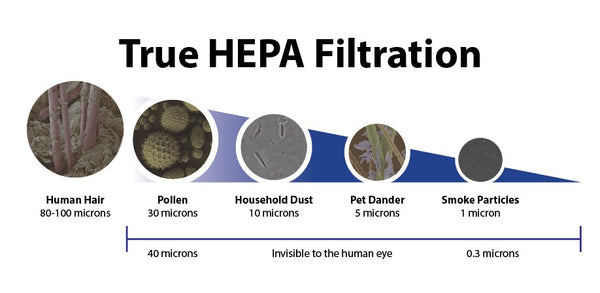 True HEPA Filtration in Air Purifiers | LivePure