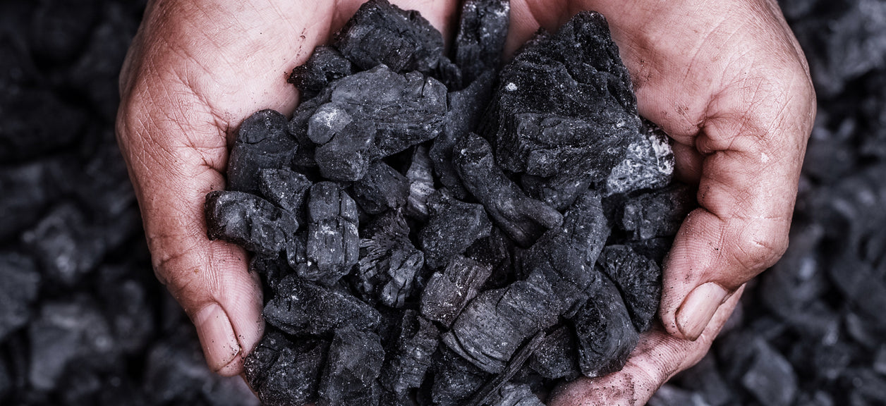 Activated Carbon Filters: Enhancing Air & Water Filtration Quality –  Cowaymega