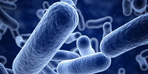 Clean Air In; Viruses and Bacteria Out: Protection By HEPA Filtration