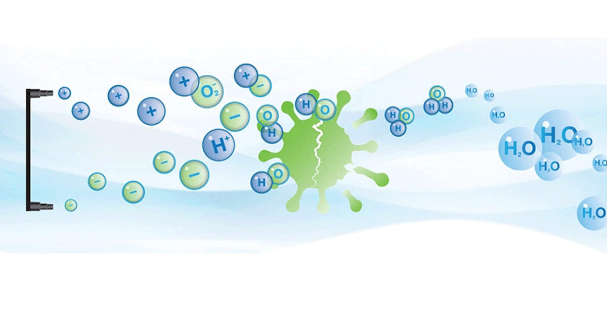 How Do Filterless Air Purifiers Improve Indoor Air Quality? | Air Oasis