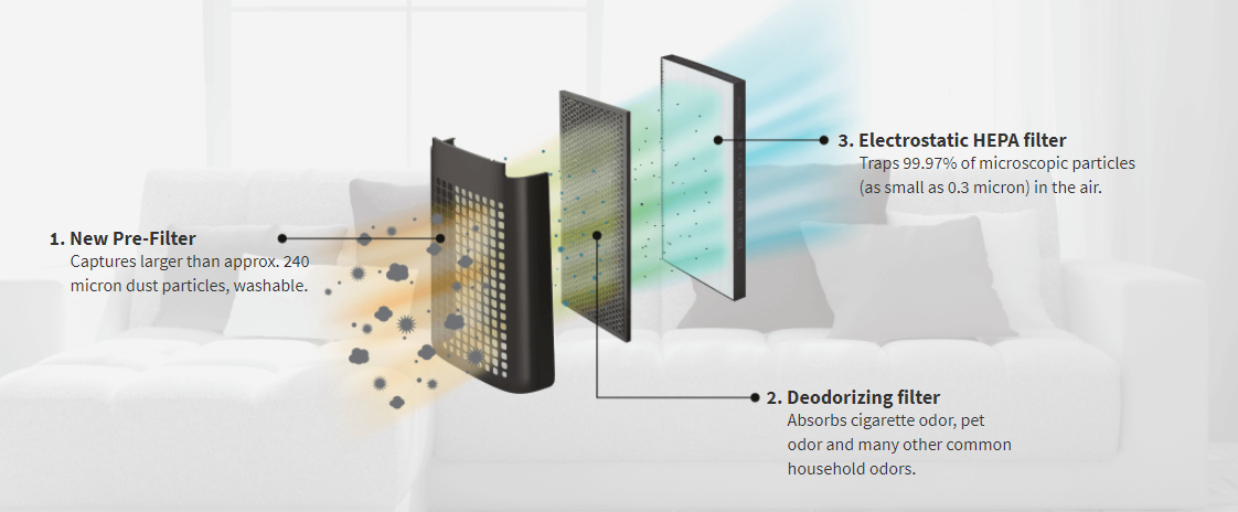 How Do Air Purifiers Work? 4 Things You Need to Know | Sharp Singapore