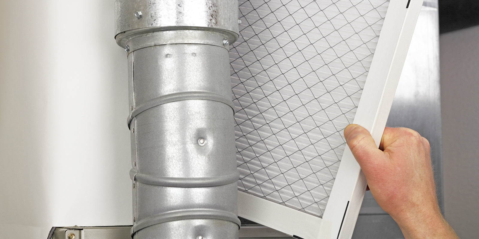 Will an Electrostatic Air Filter Keep My House Allergen-Free? - Molekule