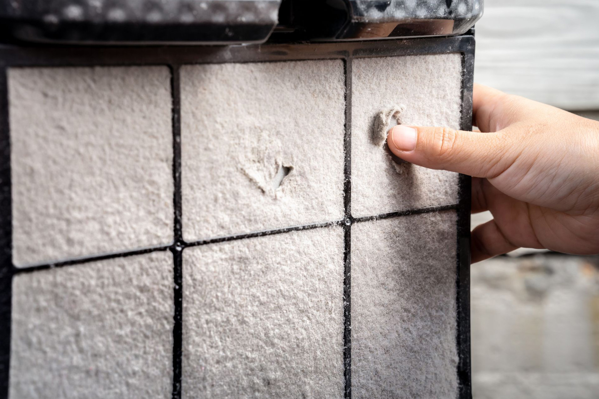 How Does An Air Purifier Work? | LG Home Comfort