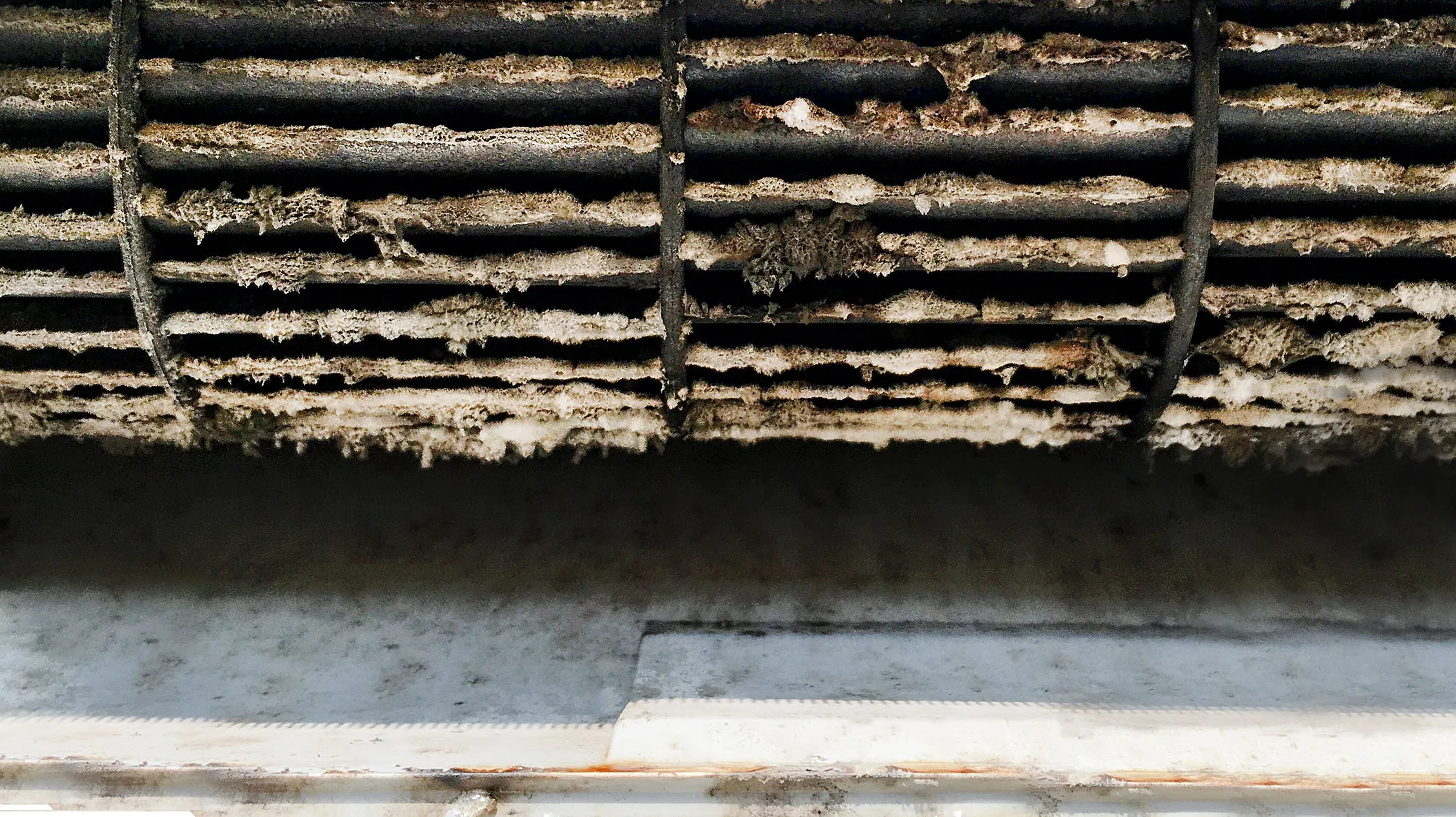 HEPA Filters and Black Mold: What You Need to Know 