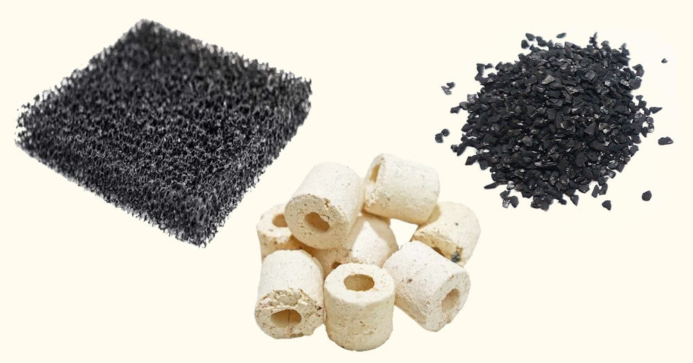 Fish Tank Filters: Which One Should You Get? | Aquarium Filters 101 –  Aquarium Co-Op