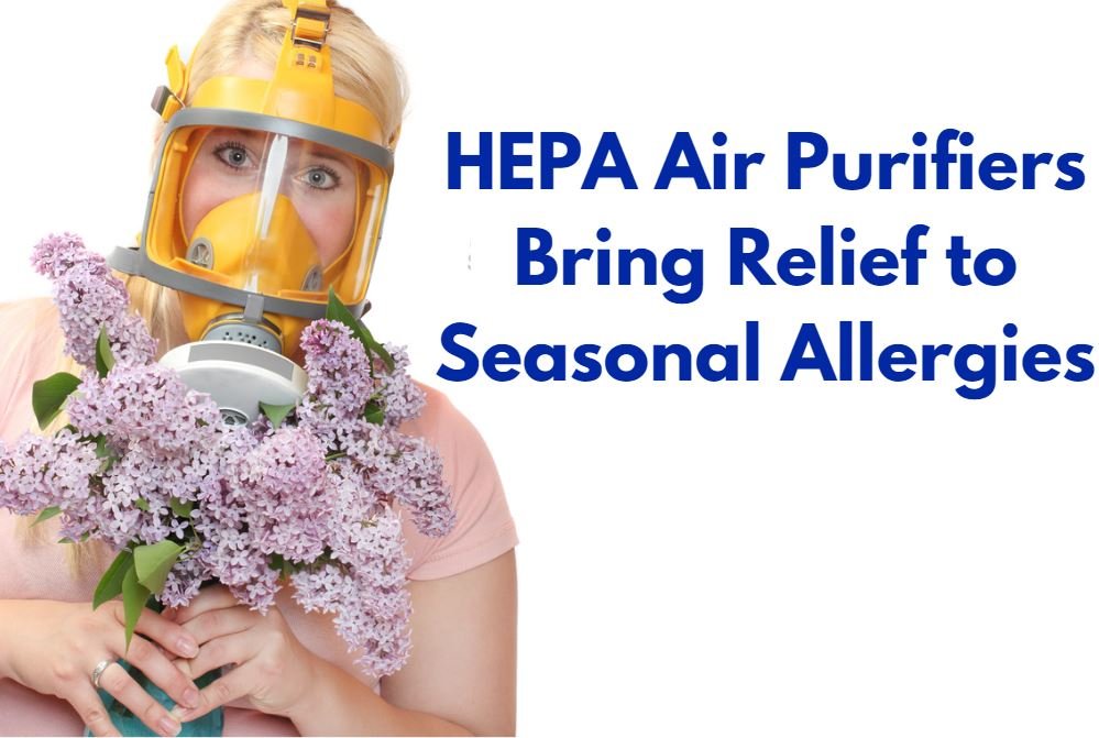 Do Air Purifiers Really Work for Allergies