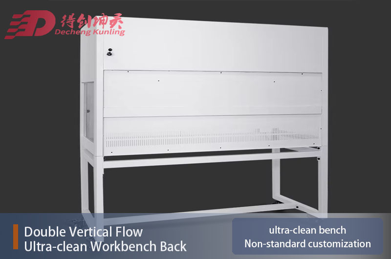 Double Vertical Flow Ultra-clean Workbench Back.jpg