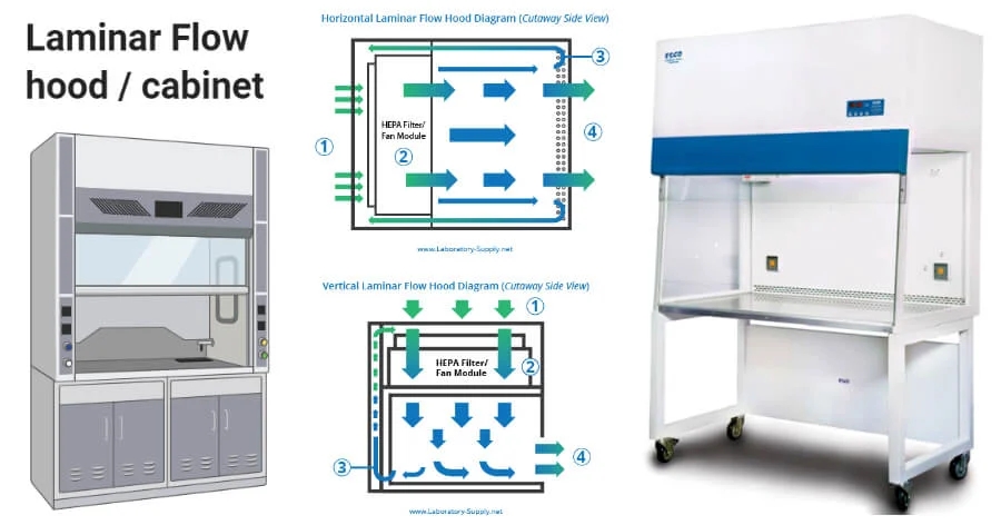 2f9df0294f7363fef1a6584dc8cb19de_Laminar-flow-hood-or-cabinet.jpeg