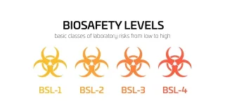 41e1fdb235fb856714cab1a971dd3c3b_biosafety-levels.jpg 41e1fdb235fb856714cab1a971dd3c3b_biosafety-levels.jpg