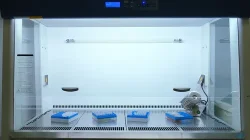 e873817bfd64b6b454e1a30629ae1c2c_laminar-flow-cabinet.jpg