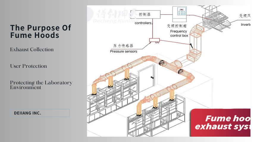 The Purpose Of Fume Hoods (1).png