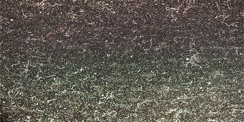 dust particles.jpg