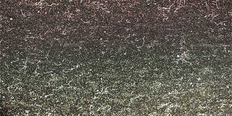 dust particles.jpg