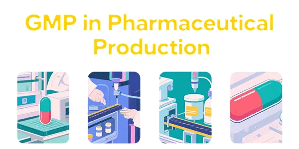 GMP-in-Pharmaceutical-Production.png GMP-in-Pharmaceutical-Production.png