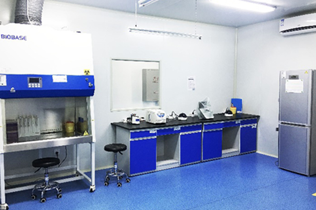 Biosafety Level 2 (BSL-2)