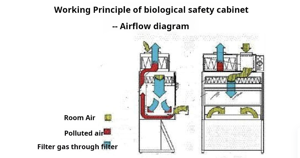 How Biosafety Cabinets Work How Biosafety Cabinets Work