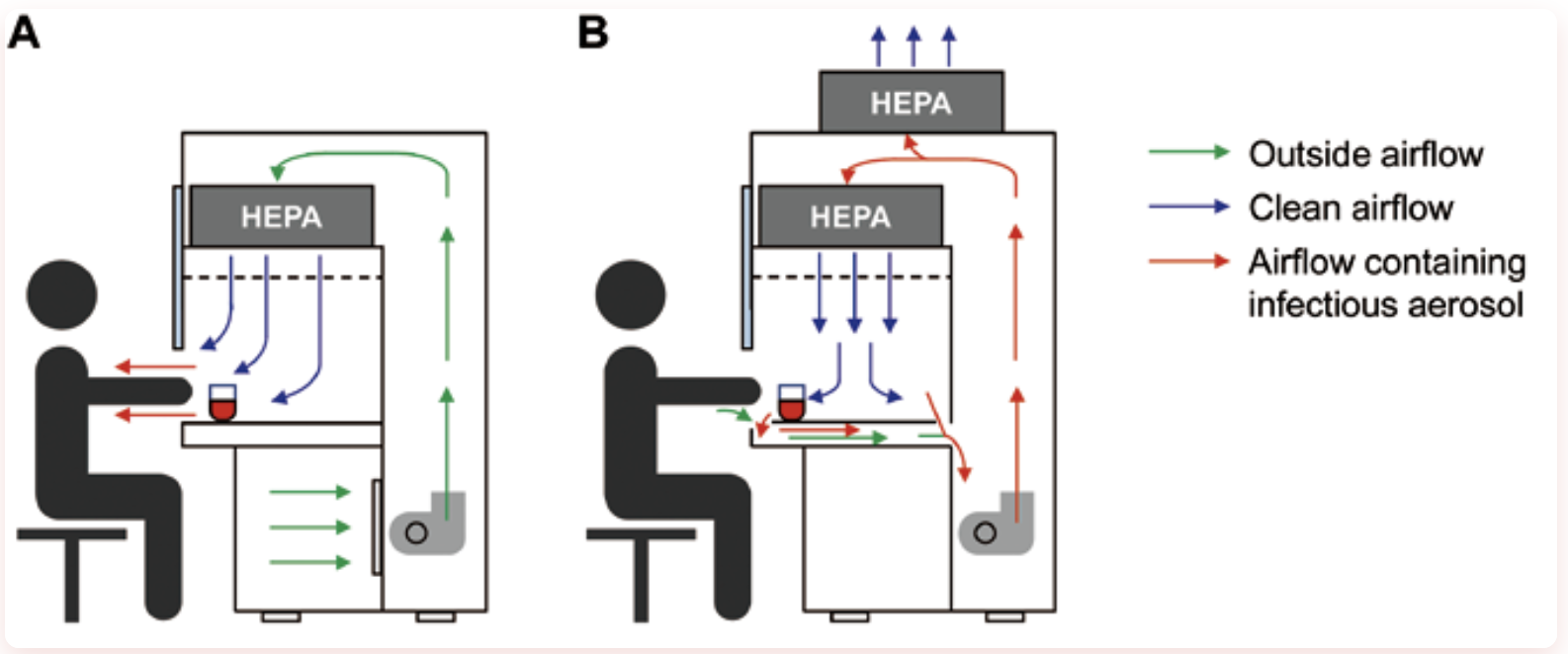 the Difference Between a Clean Bench and a Biosafety Cabinet