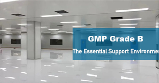 GMP Grade B.jpg GMP Grade B.jpg