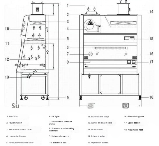 Internal Structure of Biosafety Cabinets