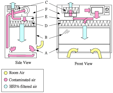 Working Principle of Biosafety Cabinets