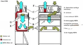  the Airflow in Biosafety Cabinets