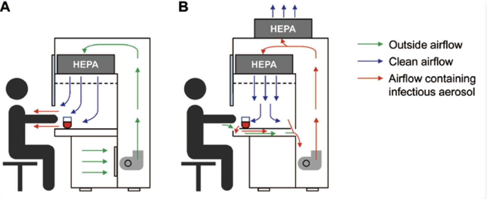 Differences Between Clean Benches and Biosafety Cabinets