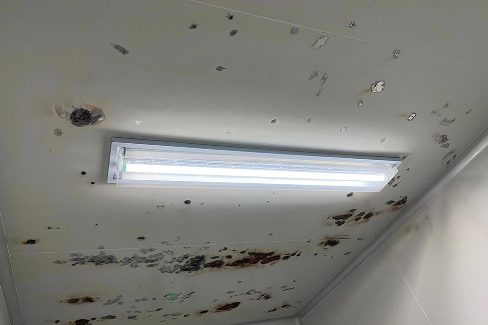 Contaminated cleanroom wall panels.jpg