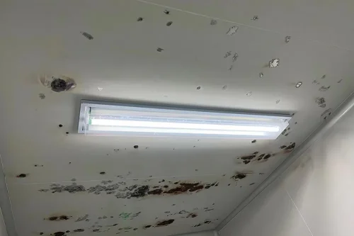 Contaminated cleanroom wall panels.jpg