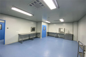 Wuhan University Cell Laboratory Culture Room