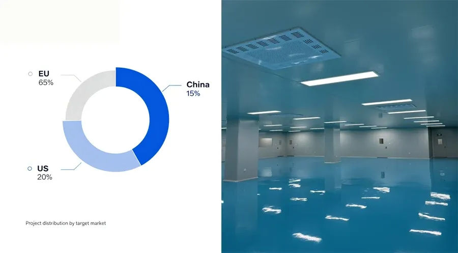 Project distribution by target market.webp