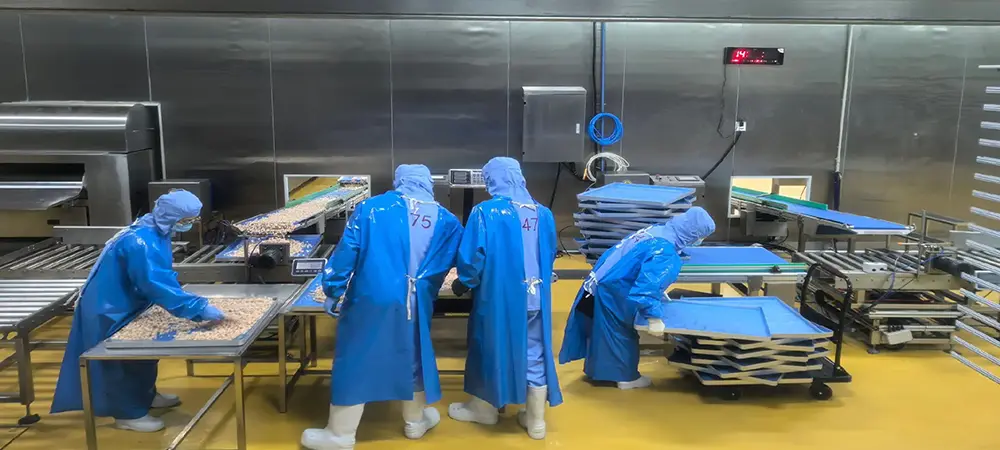 GMP Compliance in Pharmaceutical Manufacturing A Step-by-Step Approach.webp
