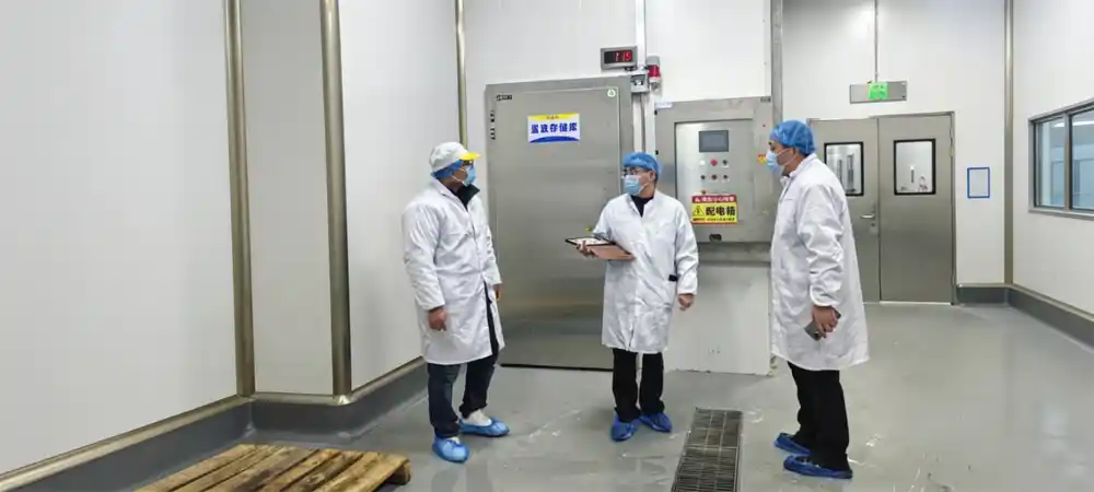Validation of Food Cleanroom.webp