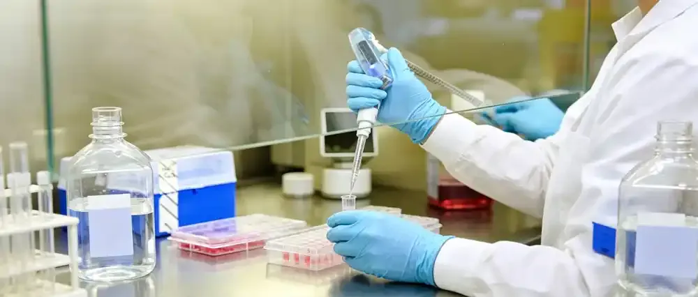 Researchers are conducting experiments in a laminar flow cabinet Researchers are conducting experiments in a laminar flow cabinet