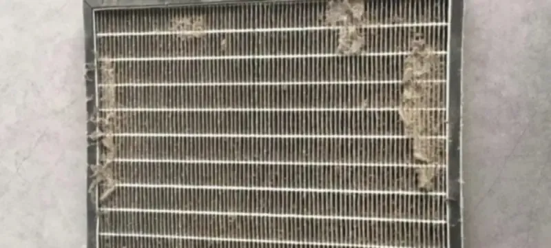 Torn HEPA filter pleats showing why cleaning is usually not recommended