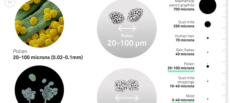Allergen particle size range chart pollen dust mite