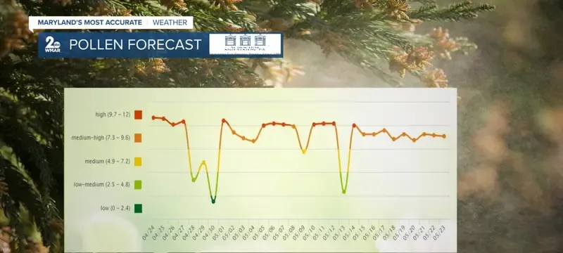 Pollen capture performance curve seasonal