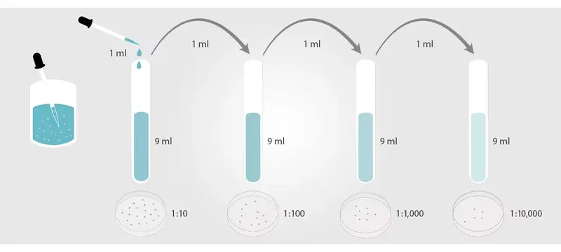 Contaminant entrainment plenum dilution Contaminant entrainment plenum dilution
