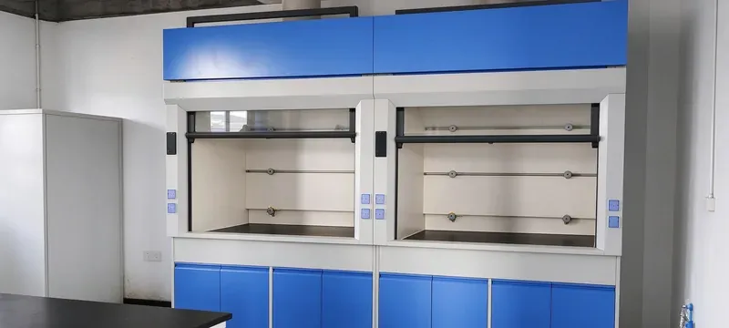 Laboratory fume hood interior gas valve and service fixtures Laboratory fume hood interior gas valve and service fixtures