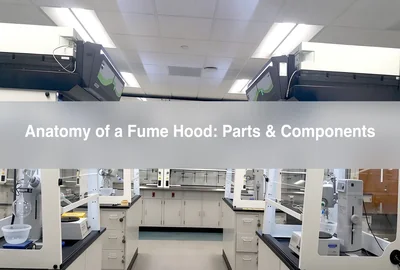Anatomy of a Fume Hood: Parts & Components Explained