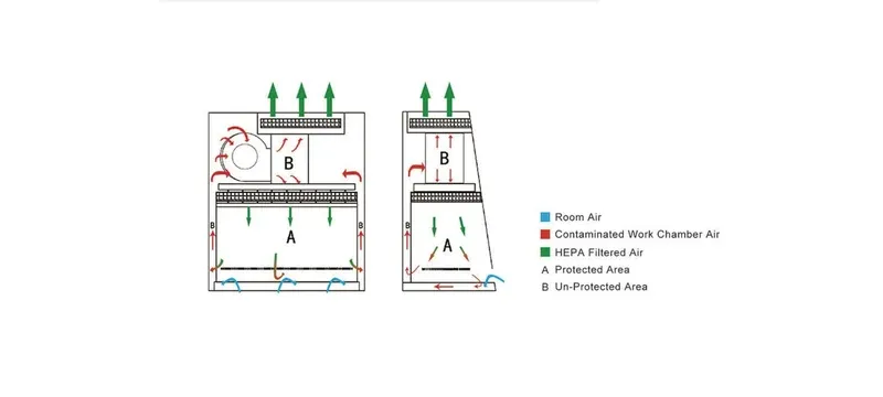 Fume hood clean bench biosafety cabinet protection boundary Fume hood clean bench biosafety cabinet protection boundary